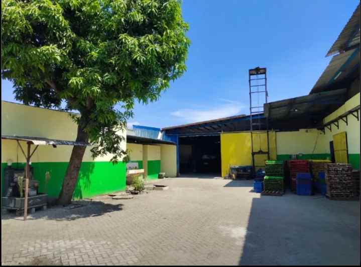 dijual pabrik krupuk di mojosari