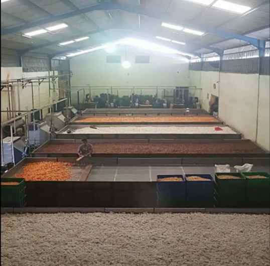 dijual pabrik krupuk di mojosari