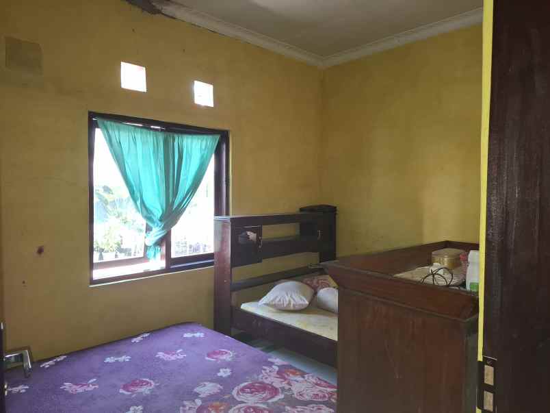 dijual rumah dekat kampus jember jl kaliurang