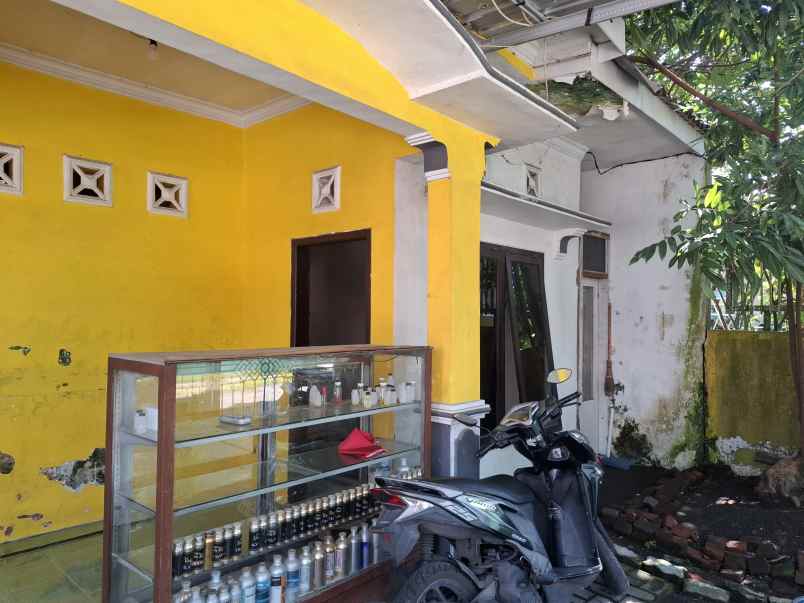 dijual rumah dekat kampus jember jl kaliurang