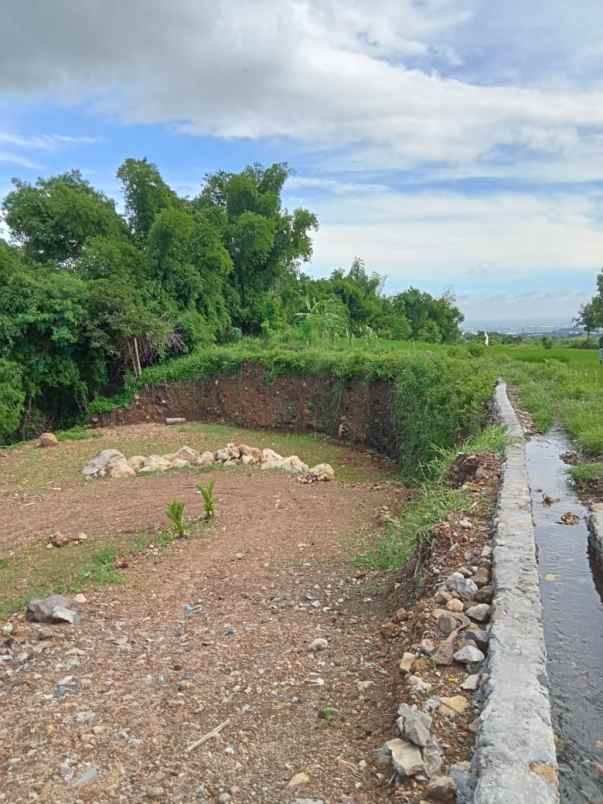 dijual rumah dijual rumah di surabaya