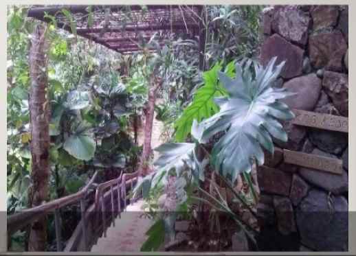 dijual rumah jalan curug agung