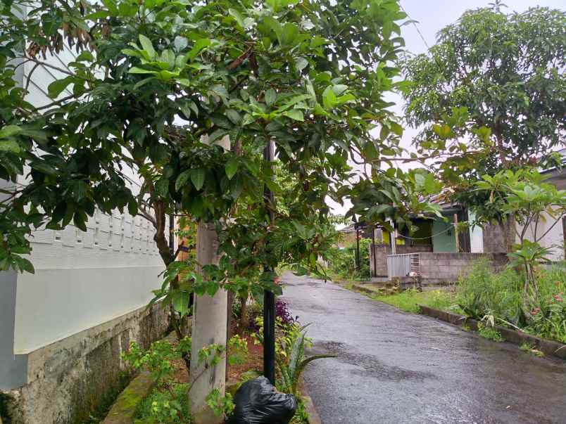 dijual rumah kemang bogor