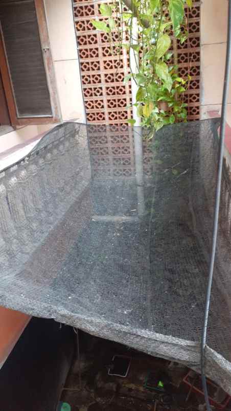 dijual rumah utan kayu utara