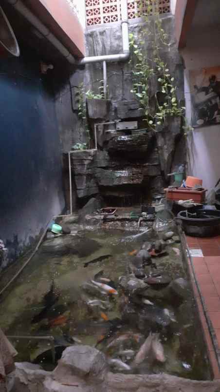 dijual rumah utan kayu utara