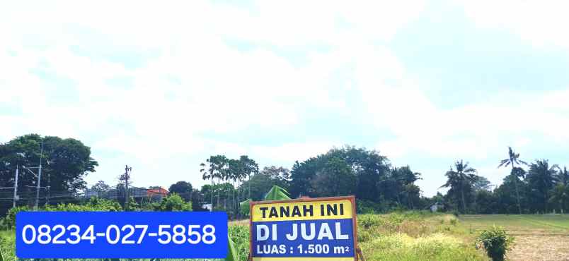 dijual tanah 1500 m2 di mengwi badung bali