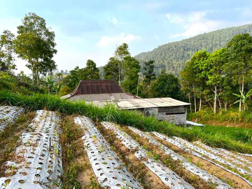 dijual tanah 900m view istimewa kemuning