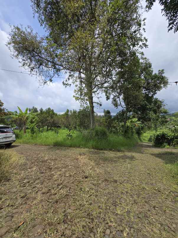 dijual tanah binangun