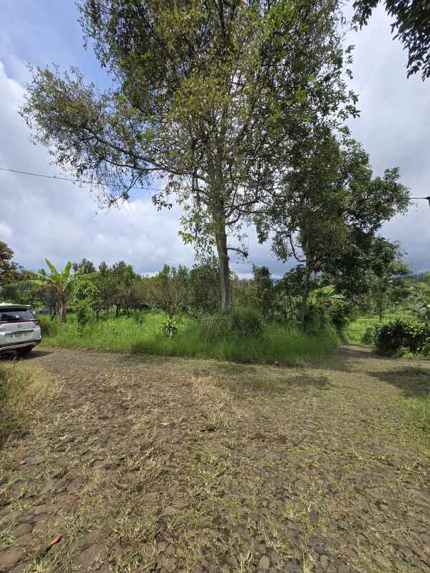 dijual tanah binangun