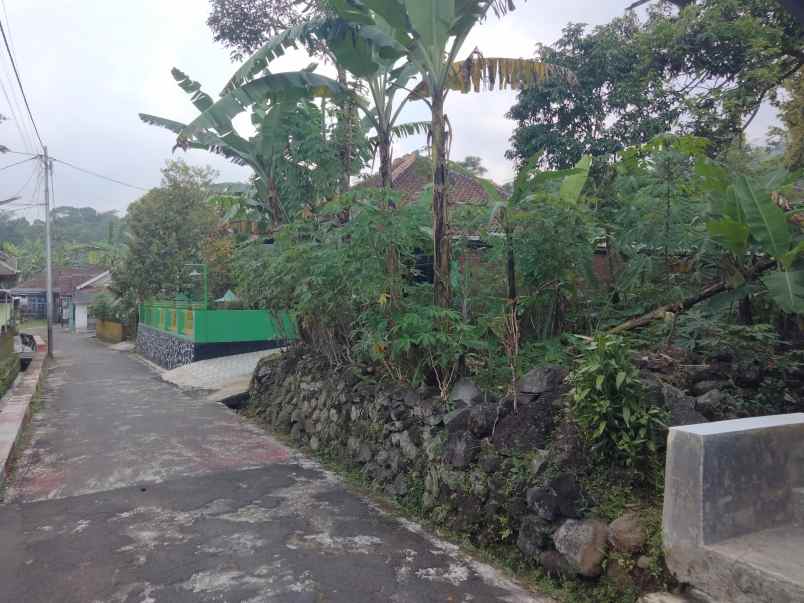 dijual tanah cstrtaegis pinggir jalan desa