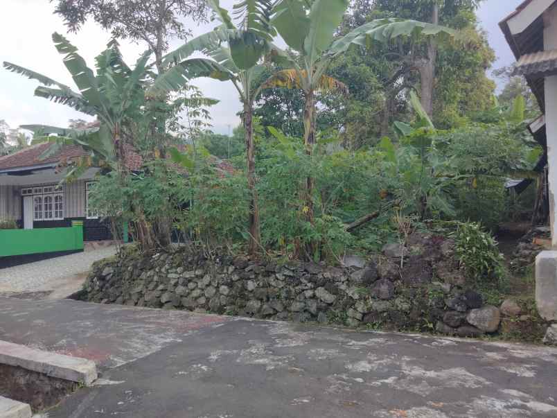 dijual tanah cstrtaegis pinggir jalan desa