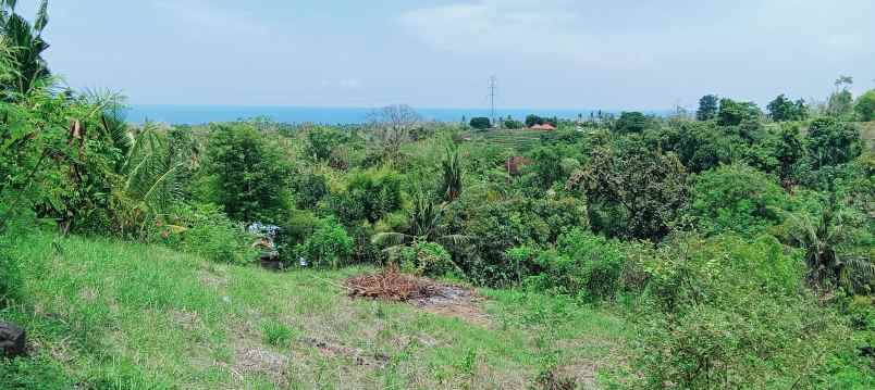 dijual tanah daerah lovina sentral