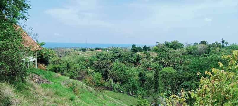 dijual tanah daerah lovina sentral