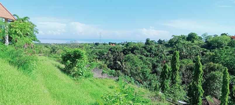 dijual tanah daerah lovina sentral