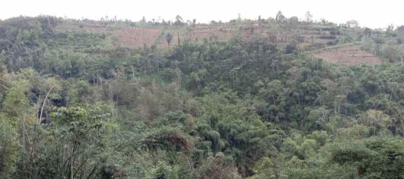dijual tanah desa antapan kec baturiti