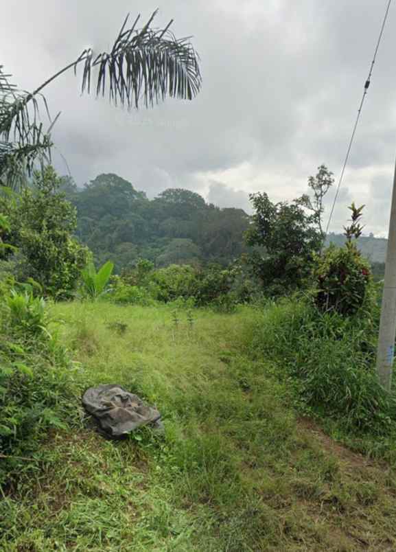 dijual tanah desa antapan kec baturiti