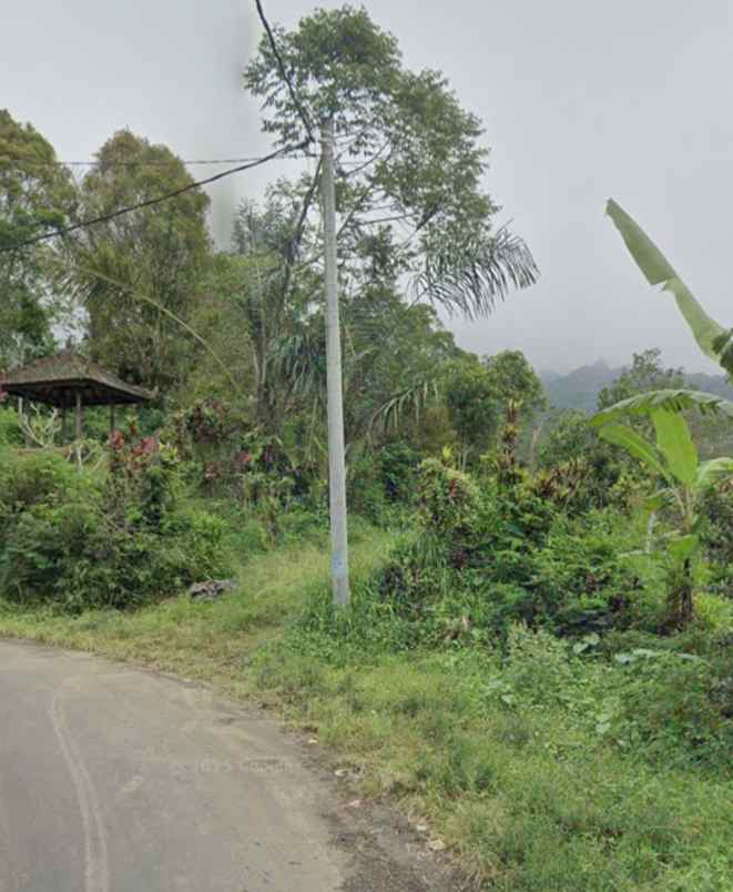 dijual tanah desa antapan kec baturiti