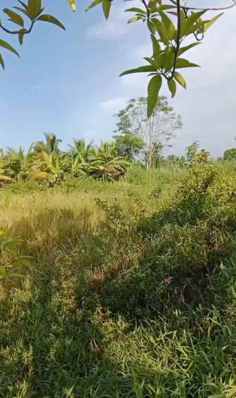 dijual tanah desa batuaji kec