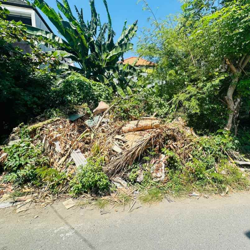 dijual tanah drupadi renon