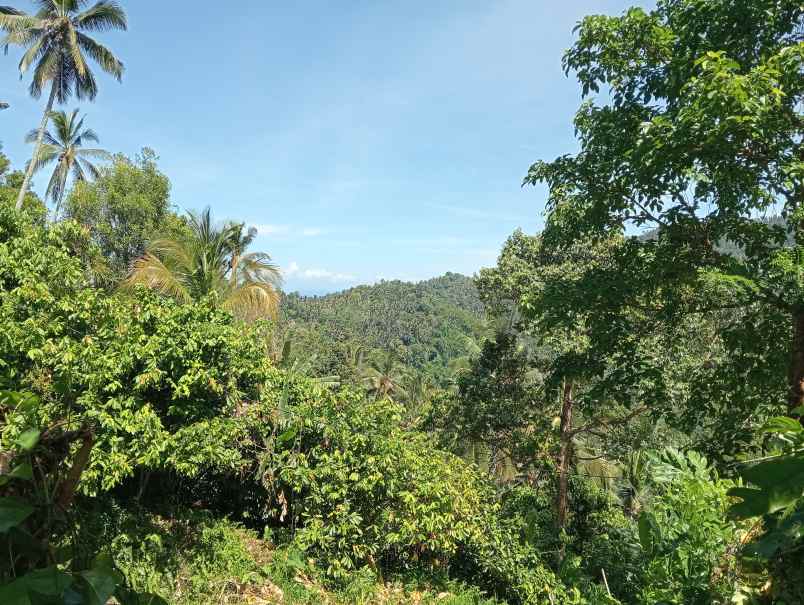 dijual tanah ds lumbung kec selemadeg