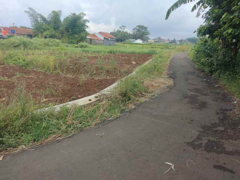 dijual tanah halimpu beber
