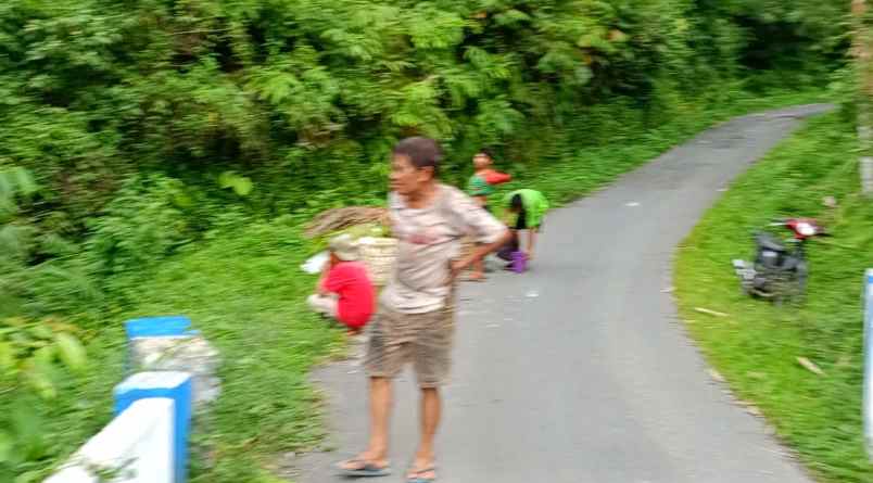 dijual tanah jalan bukum desa