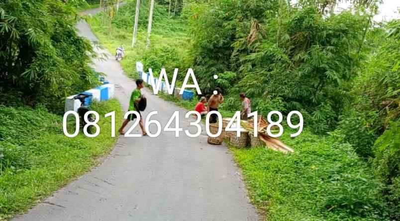 dijual tanah jalan bukum desa