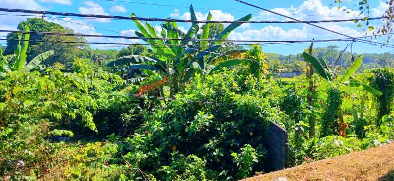 dijual tanah jalan ida bagus mantra