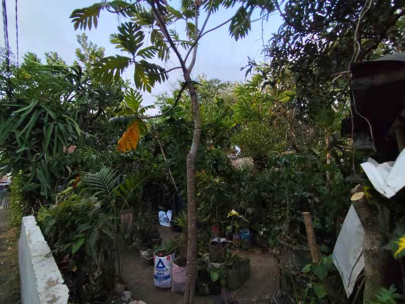 dijual tanah jalan wilis sisir