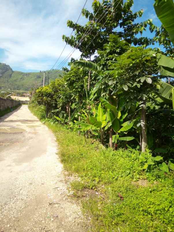 dijual tanah jl nasional iii pamucatan