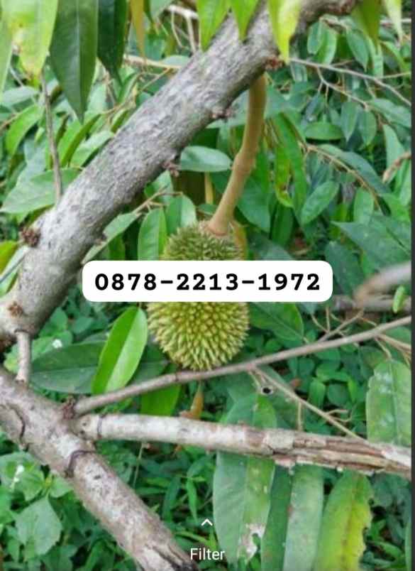 dijual tanah jonggol bogor timur