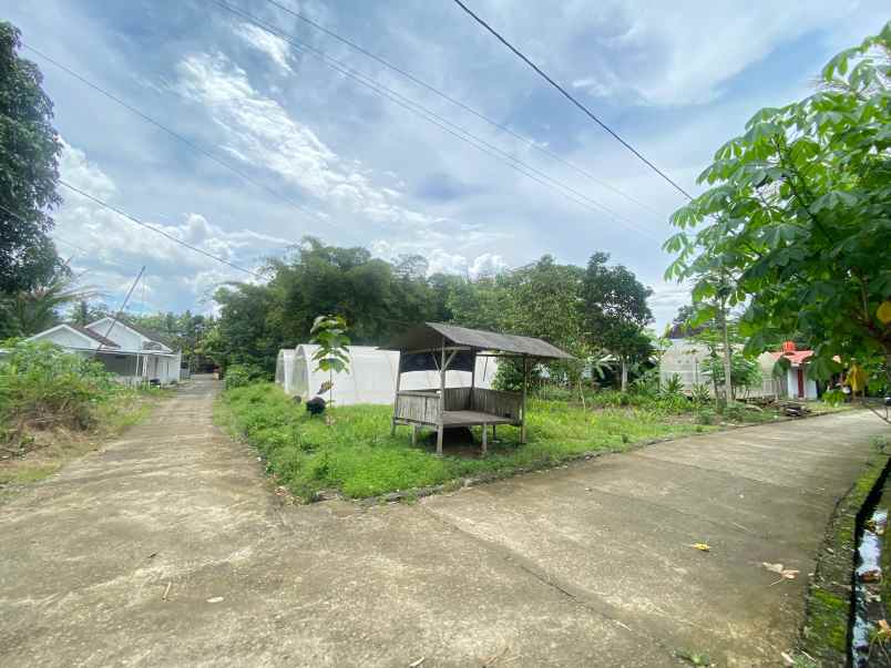 dijual tanah kedungprahu sendangrejo