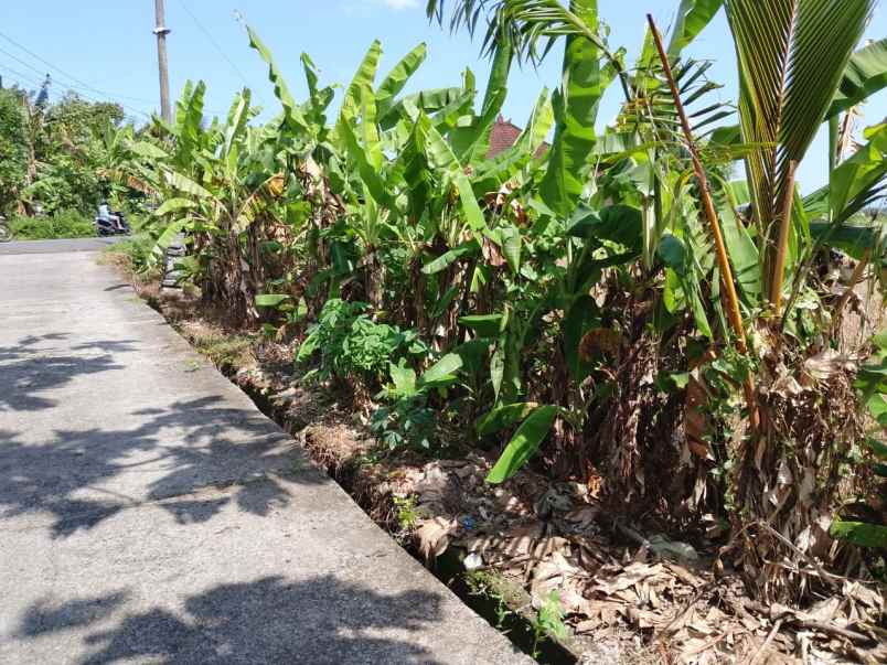 dijual tanah kelating tabanan bali