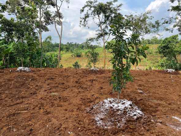 dijual tanah kerjo karanganyar solo