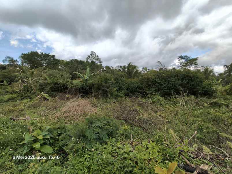 dijual tanah kintamani bangli bali