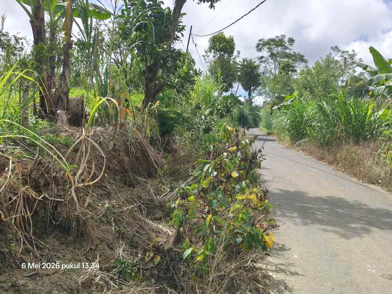 dijual tanah kintamani bangli bali