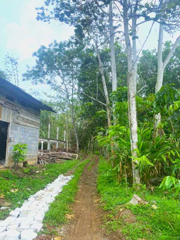 dijual tanah matesih karangpandan