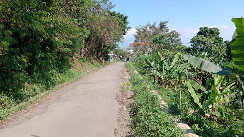 dijual tanah murah jl pasir honje bandung harga nego