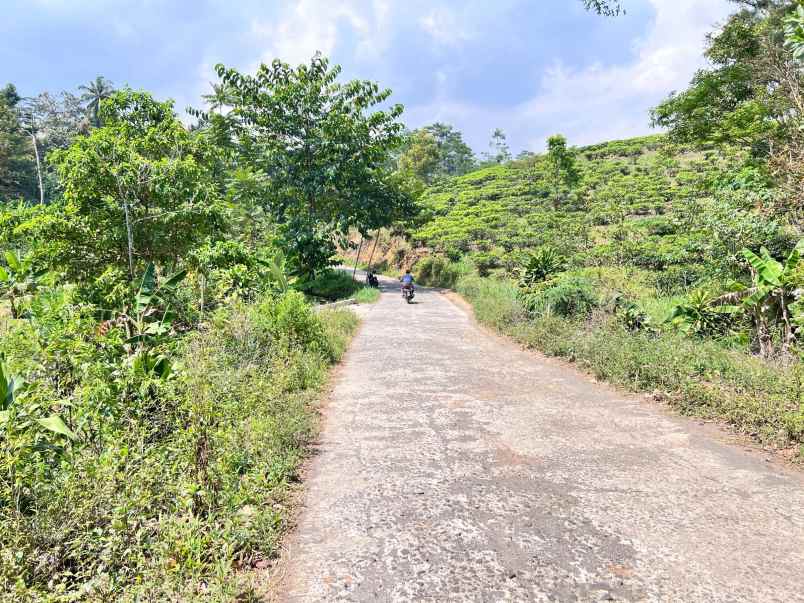 dijual tanah ngargoyoso karanganyar