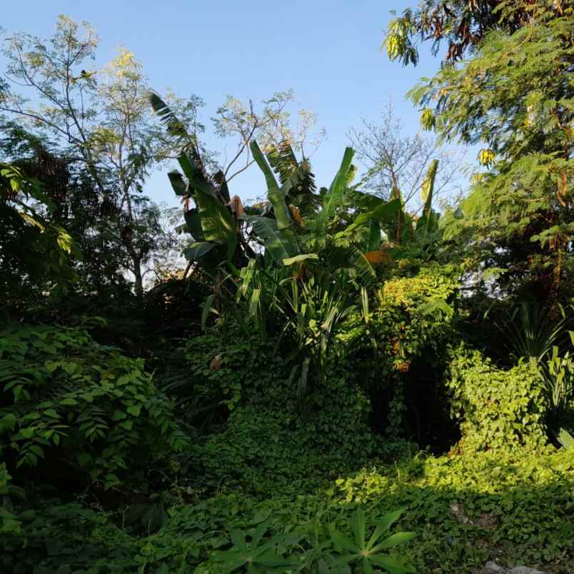 dijual tanah pegending