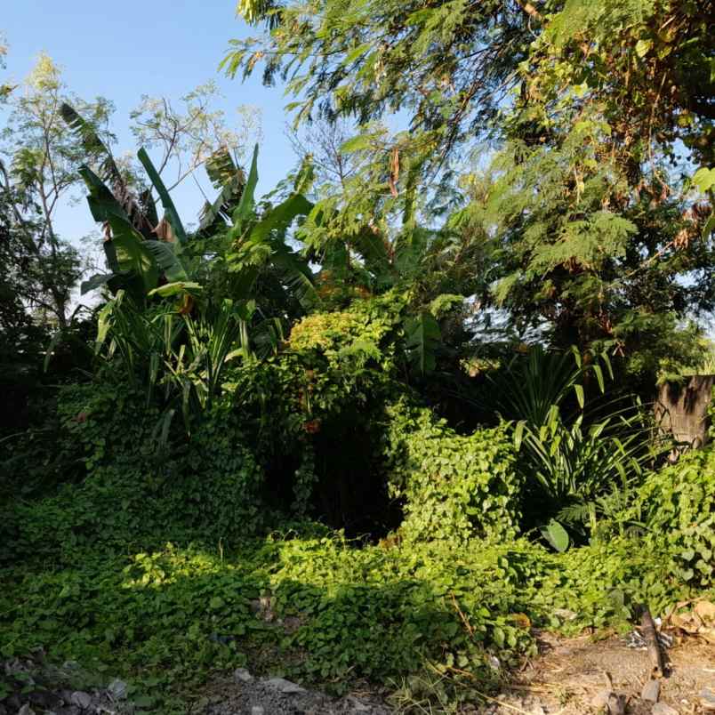 dijual tanah pegending