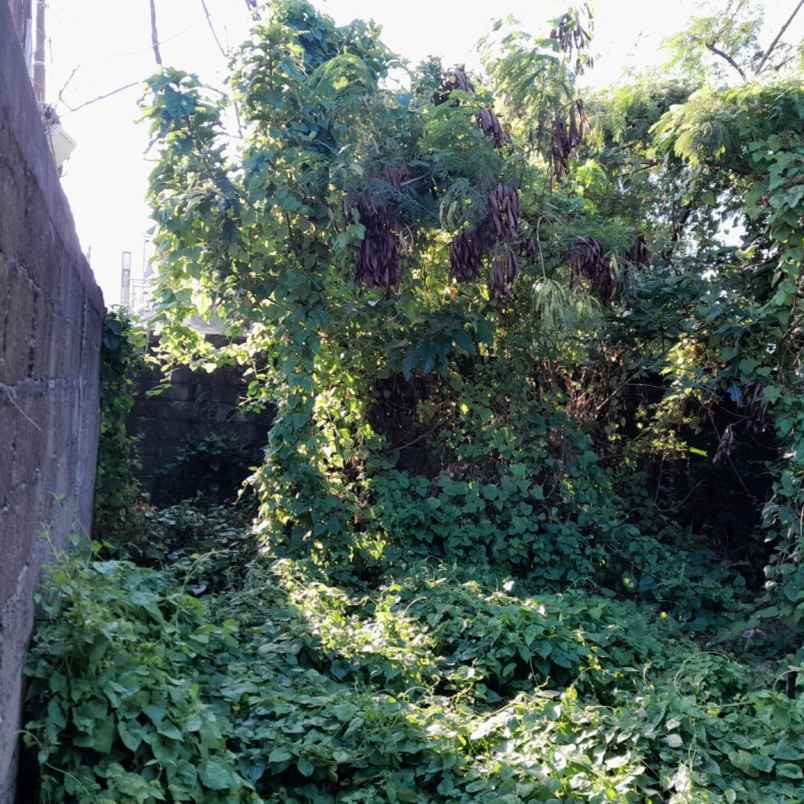 dijual tanah pegending