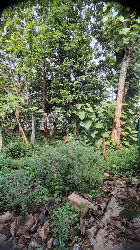 dijual tanah perigi pondok aren