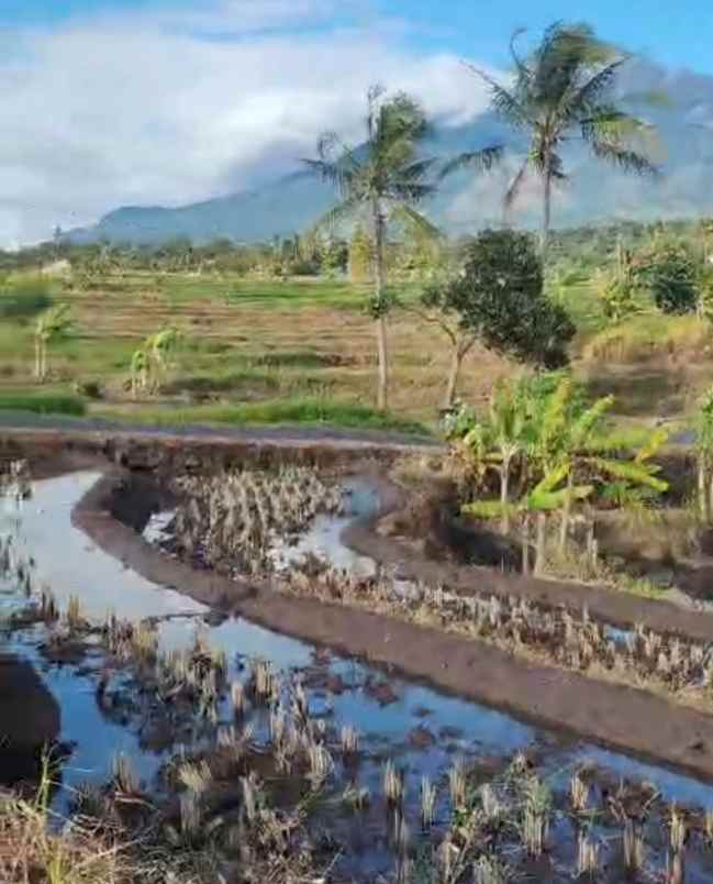 dijual tanah rando bawa kec mandirancan