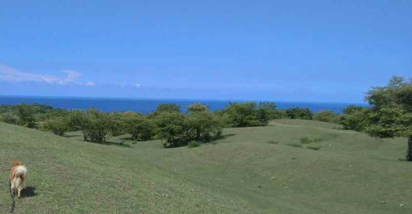 dijual tanah sambik elen lombok utara ntb