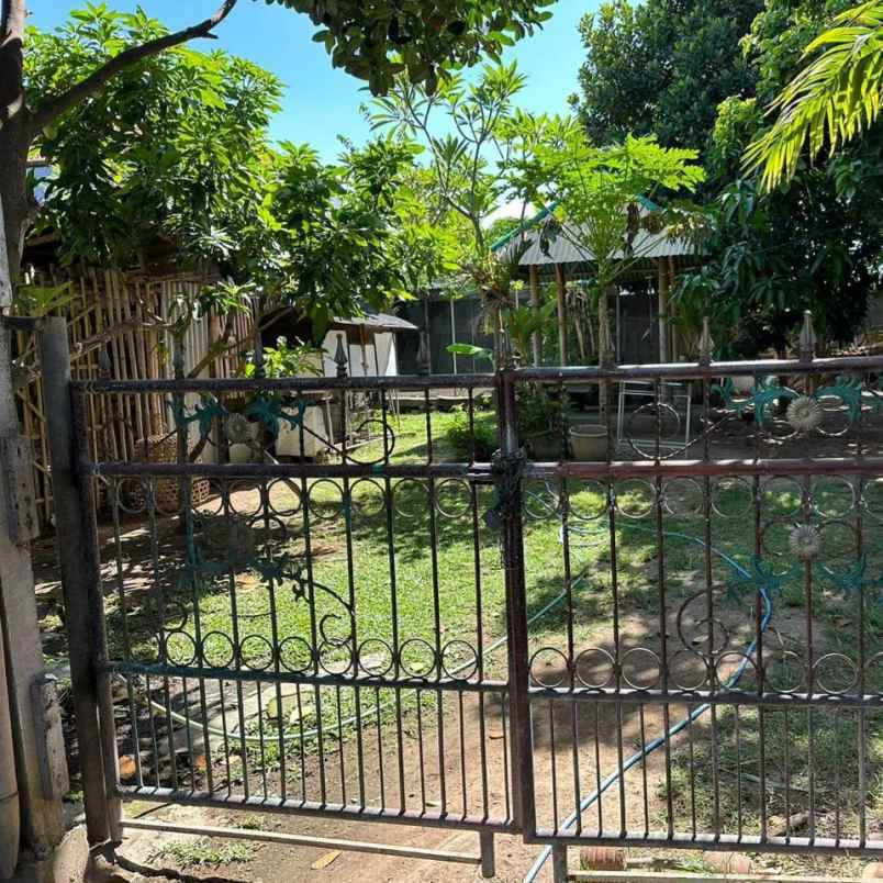 dijual tanah sedap malam