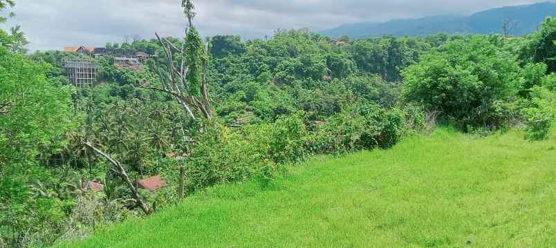 dijual tanah strategis di sentral lovina