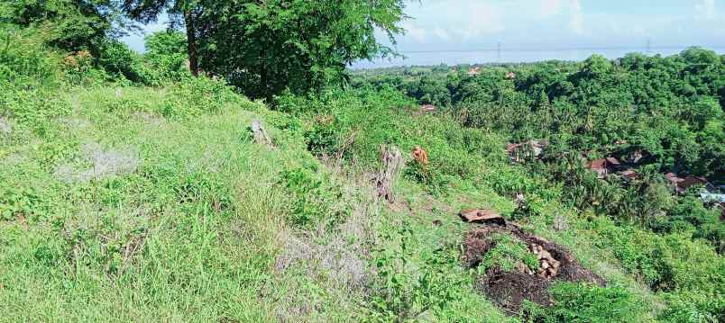 dijual tanah strategis di sentral lovina