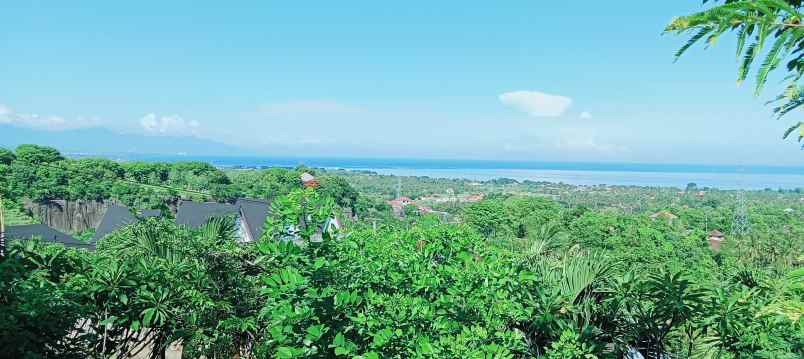 dijual tanah strategis di sentral lovina