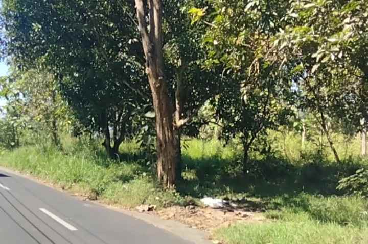 dijual tanah strategis pinggir jl desa di kuningan